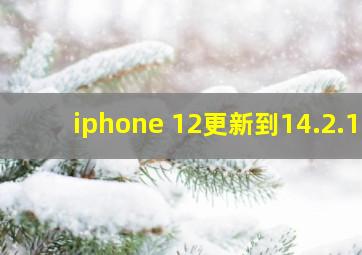 iphone 12更新到14.2.1